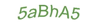 عبارت امنیتی