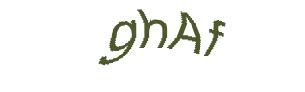 عبارت امنیتی