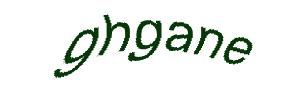 عبارت امنیتی