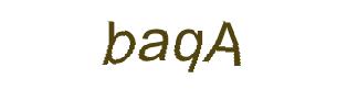 عبارت امنیتی