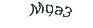 عبارت امنیتی