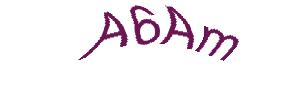 عبارت امنیتی