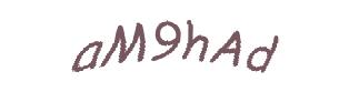 عبارت امنیتی