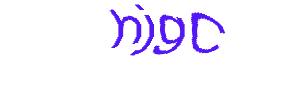 عبارت امنیتی