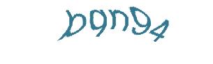 عبارت امنیتی