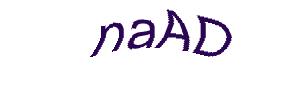 عبارت امنیتی