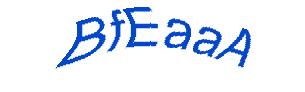 عبارت امنیتی