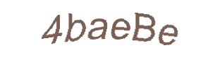عبارت امنیتی