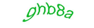 عبارت امنیتی