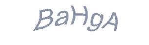 عبارت امنیتی