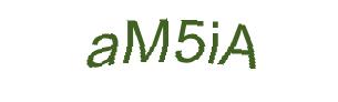 عبارت امنیتی