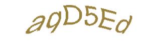 عبارت امنیتی