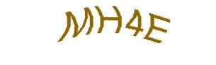 عبارت امنیتی