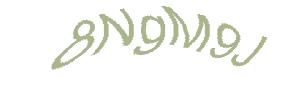 عبارت امنیتی