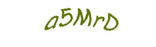 عبارت امنیتی