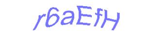 عبارت امنیتی