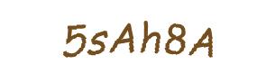 عبارت امنیتی