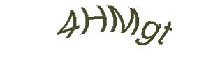 عبارت امنیتی