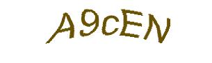 عبارت امنیتی