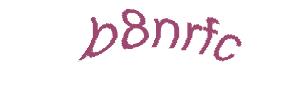عبارت امنیتی