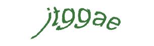 عبارت امنیتی