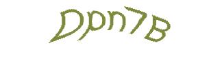عبارت امنیتی