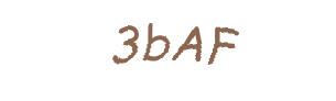 عبارت امنیتی