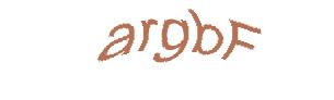 عبارت امنیتی