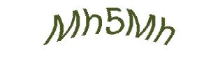 عبارت امنیتی