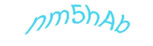 عبارت امنیتی