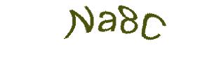 عبارت امنیتی