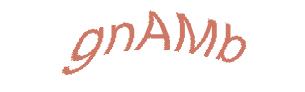 عبارت امنیتی