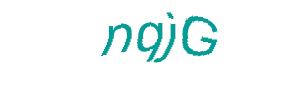 عبارت امنیتی