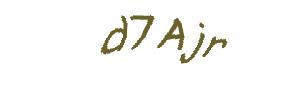 عبارت امنیتی