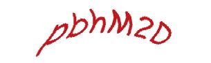 عبارت امنیتی