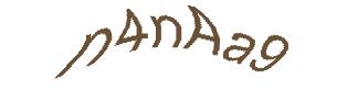 عبارت امنیتی