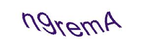 عبارت امنیتی