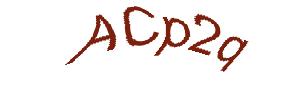 عبارت امنیتی