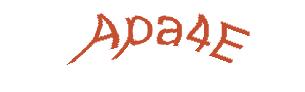 عبارت امنیتی