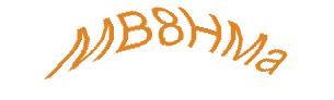 عبارت امنیتی