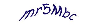 عبارت امنیتی