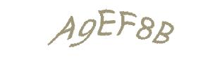 عبارت امنیتی