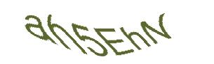 عبارت امنیتی
