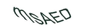 عبارت امنیتی