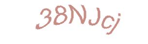 عبارت امنیتی
