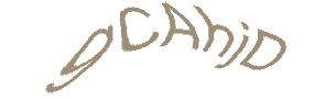 عبارت امنیتی