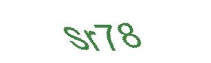 عبارت امنیتی