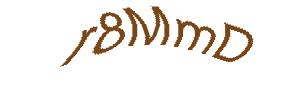 عبارت امنیتی