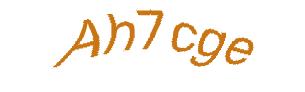 عبارت امنیتی