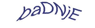 عبارت امنیتی